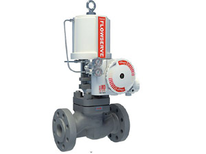 LINEAR GLOBE/ANGLE CONTROL VALVES - MARK ONE