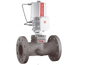 LINEAR GLOBE/ANGLE CONTROL VALVES - MARK ONE-X