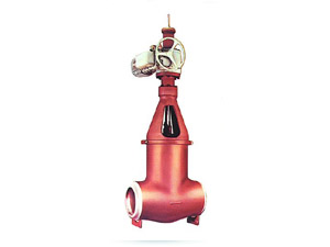 FLEXIBLE WEDGE GATE VALVES - FLEX WEDGE