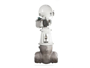 FLEXIBLE SPLIT WEDGE GATE VALVES - EQUIWEDGE MAIN STEAM ISOLATION VALVE